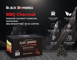 BBQ Charcoal Briquettes 10kg (5x10CM)